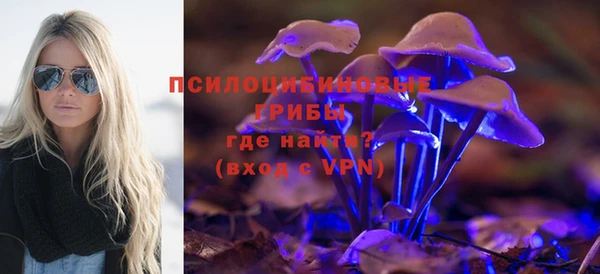 мет Новозыбков