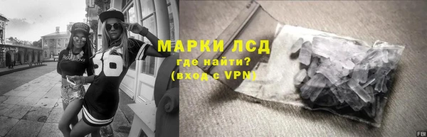 мяу мяу кристалл Пионерский