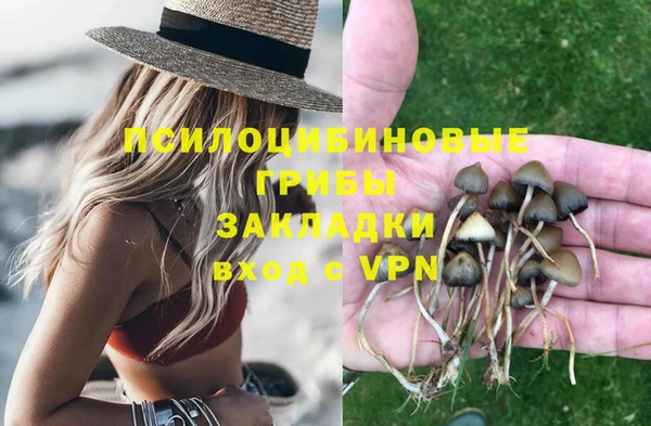 не бодяженный Новодвинск