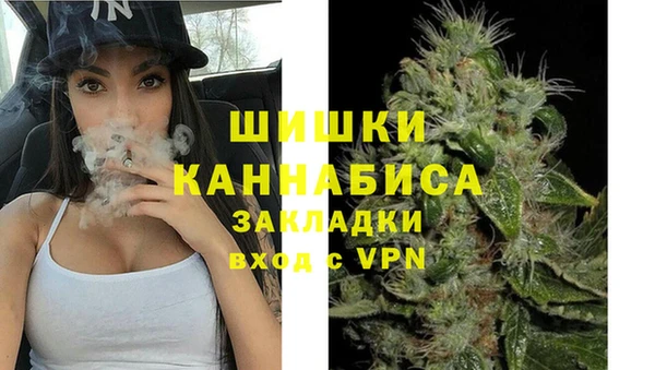 хмурый Печоры