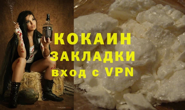 не бодяженный Новодвинск