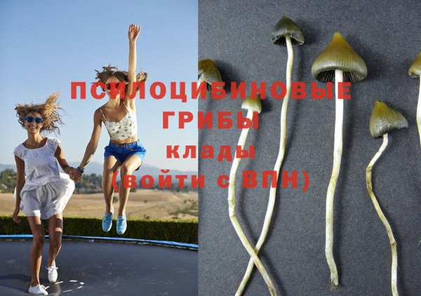 меф Новокубанск