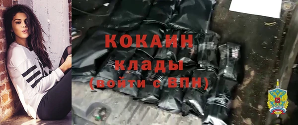 мет Новозыбков