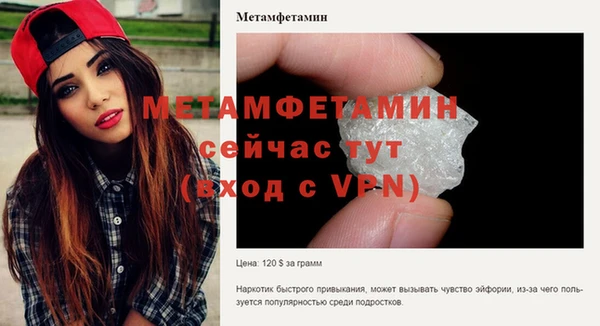 шишки Нея