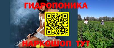 ГАЛЛЮЦИНОГЕННЫЕ ГРИБЫ Новозыбков