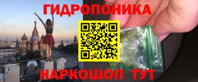 ГАЛЛЮЦИНОГЕННЫЕ ГРИБЫ Новозыбков