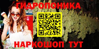 таблы Новокубанск