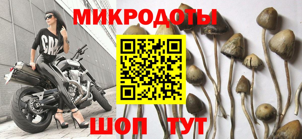 Холмск  Галлюциногенные грибы Psilocybe  Галлюциногенные грибы мицелий  как найти закладки  Вход с VPN 